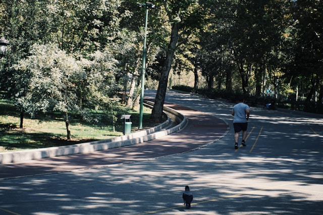 Kaldrivexo inspiráció